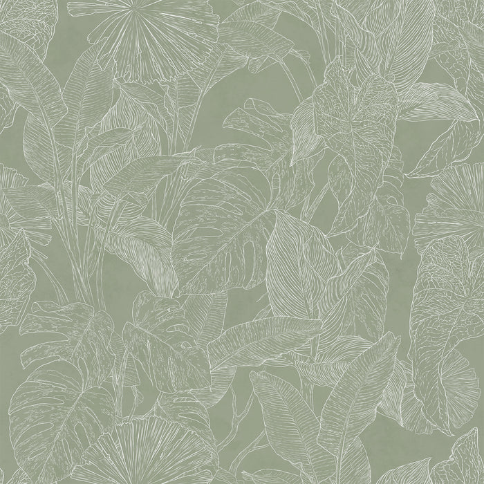 Papel Mural Plants Line