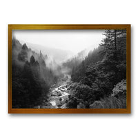 Cuadro Woods