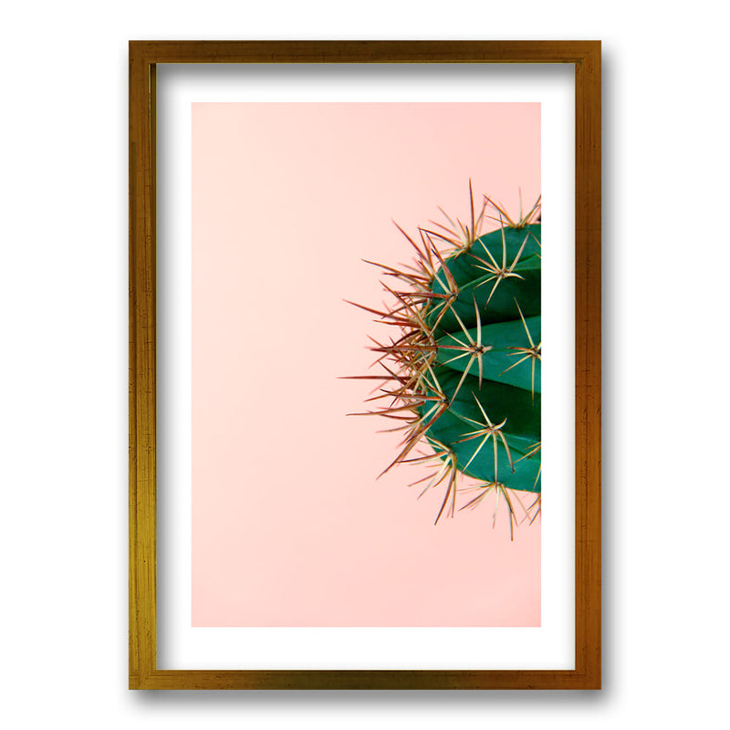 Cuadro Pink Cactus