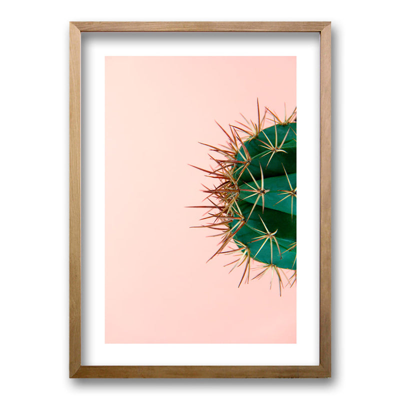 Cuadro Pink Cactus