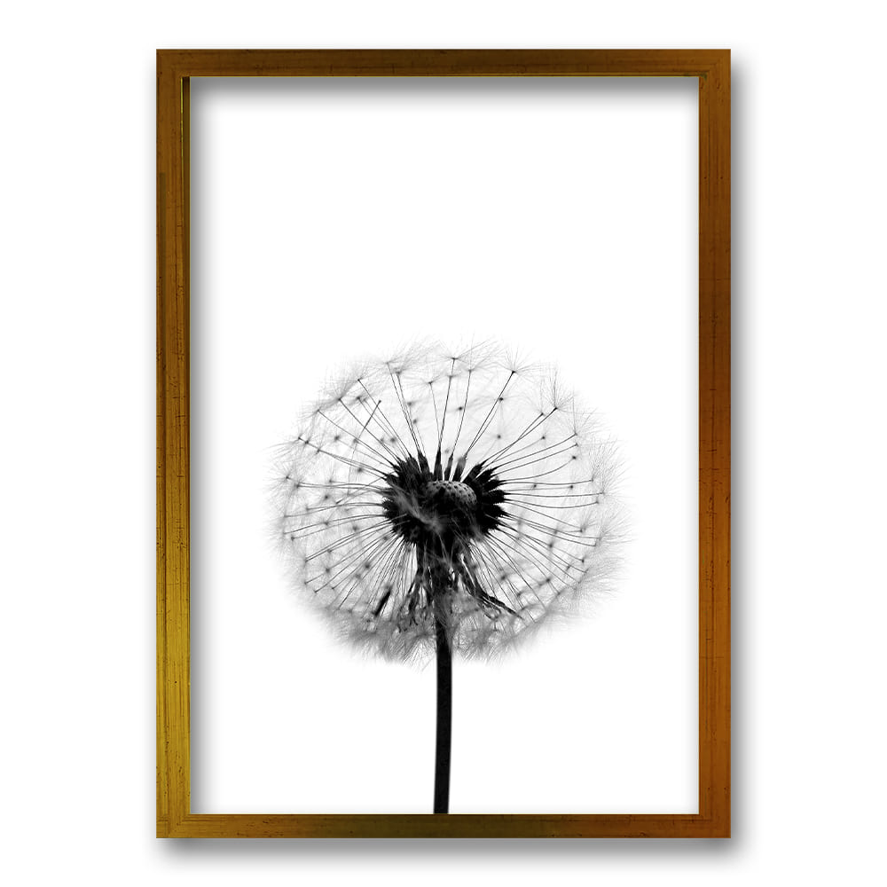 Cuadro Flor de Leon B