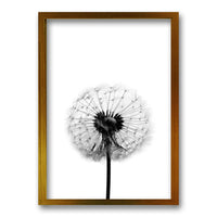 Cuadro Flor de Leon B