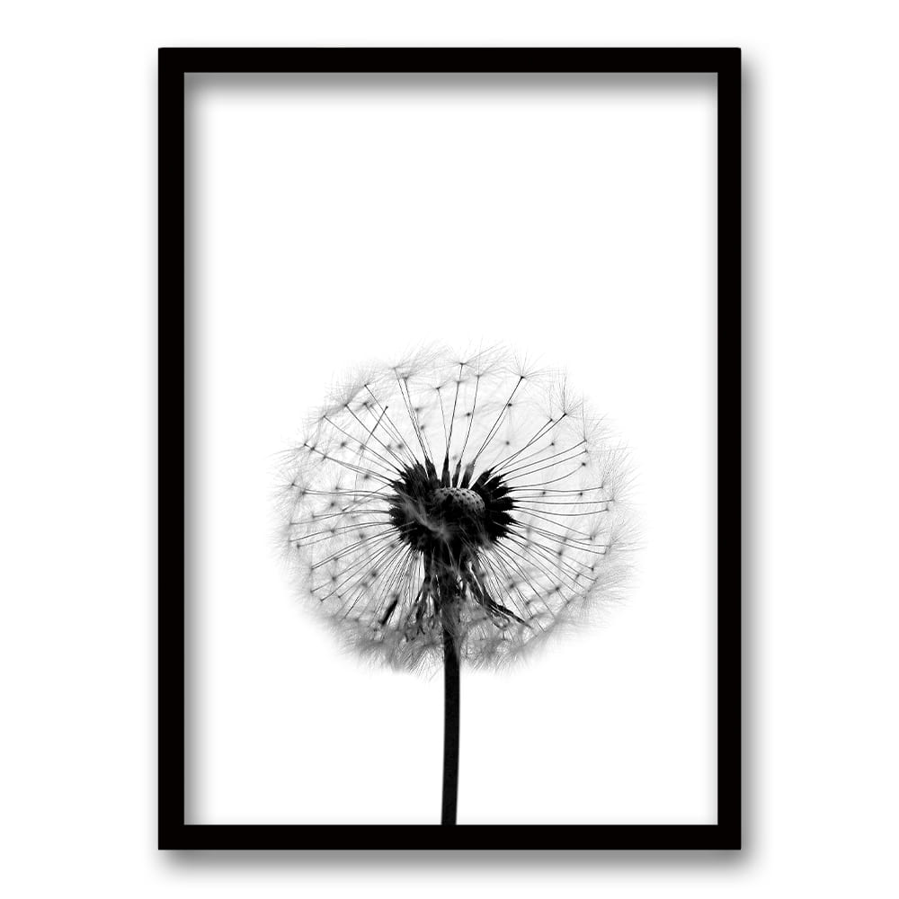 Cuadro Flor de Leon B