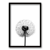 Cuadro Flor de Leon B