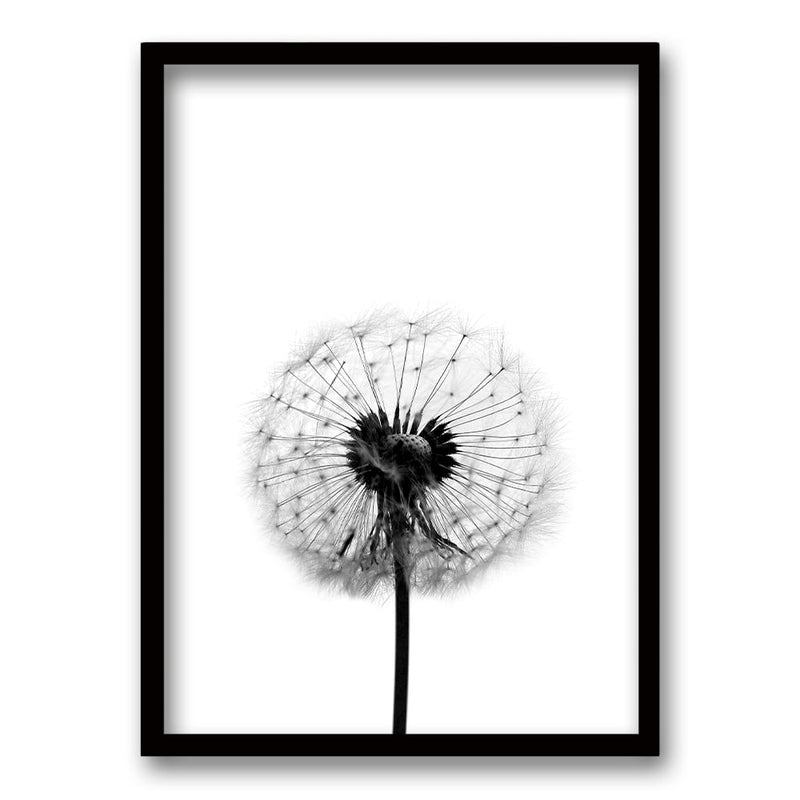 Cuadro Flor de Leon B