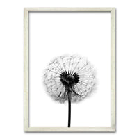 Cuadro Flor de Leon B