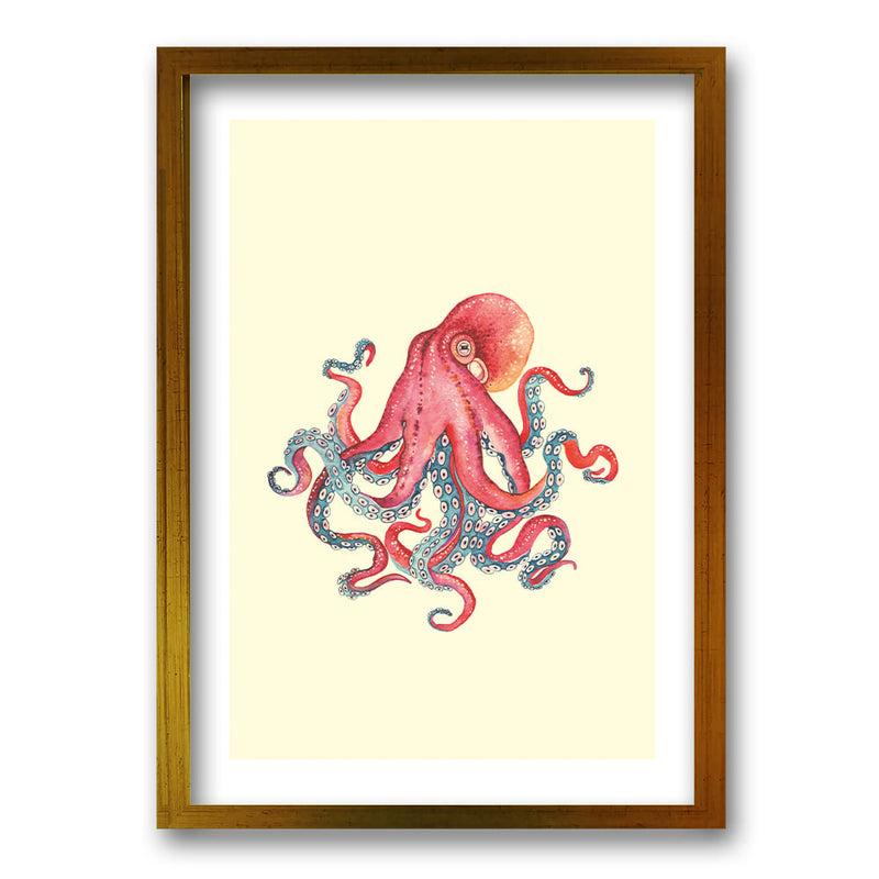 Cuadro Ilustración Octopus