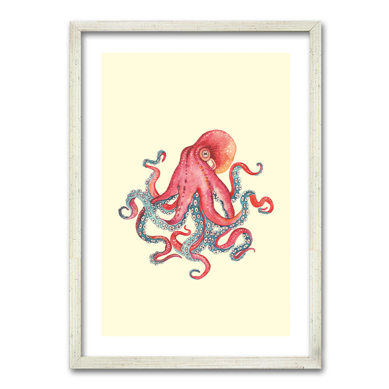 Cuadro Ilustración Octopus